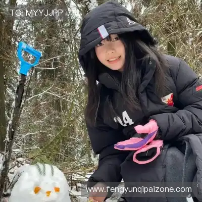 怀献义
